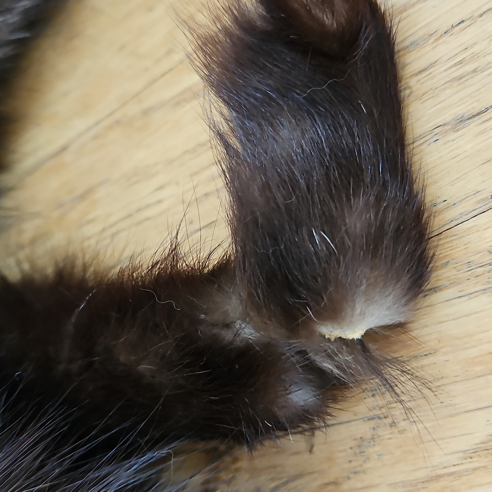 Vintage Fox Fur Stole - Picture 13 of 15